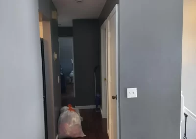Professional Painter